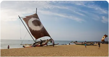 Villa Shade Explore Negombo