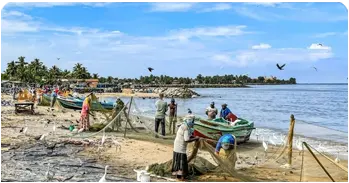 Villa Shade Explore Negombo - Lellama Fish Market